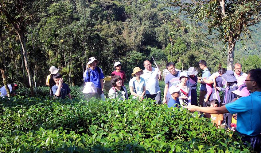 中時電子報：那瑪夏型農詹宗翰 台中茶博覽會大放異彩